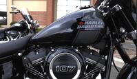HARLEY-DAVIDSON Softail